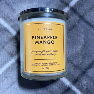 Bath & Body works pineapple mango single wick candle